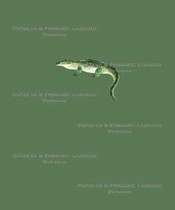 Alligator - Green Panel