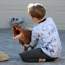 Dino Fields - Carbon *Pre-Order