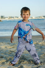 Dino Fields - Carbon *Pre-Order