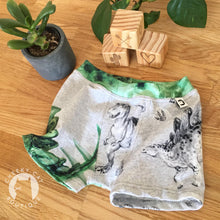 Stegosaurus Colour - Panel *Pre-Order