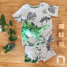 Stegosaurus Colour - Panel *Pre-Order