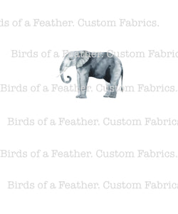 Elephant - White Panel