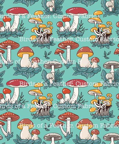 Mushrooms & Toadstools